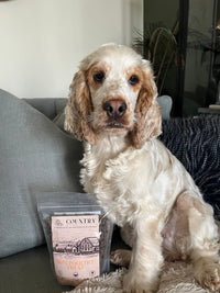 Chicken, Duck & Turkey-Dry Dog Food