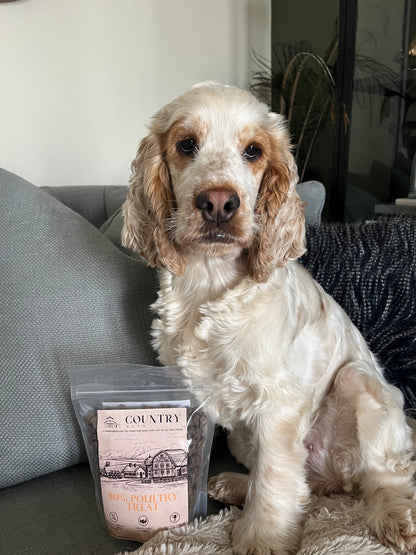 Chicken, Duck & Turkey-Dry Dog Food