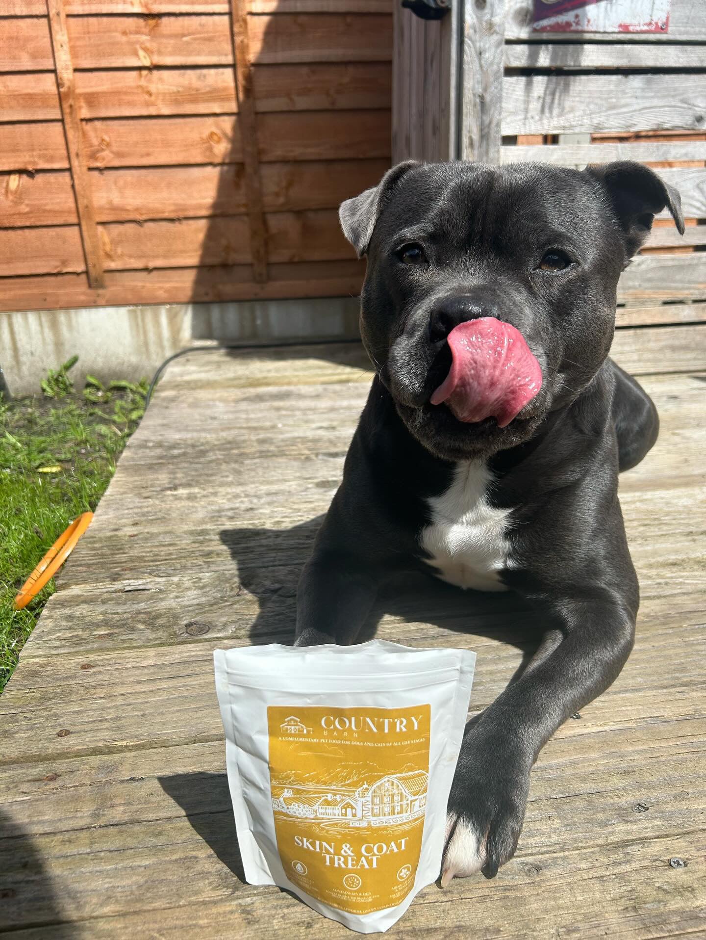 Skin & Coat Boost Chicken-Dog Treats