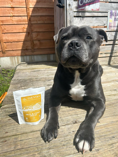 Skin & Coat Boost Chicken-Dog Treats