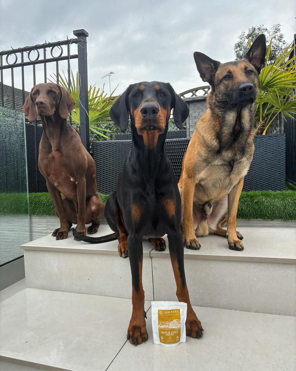 Skin & Coat Boost Chicken-Dog Treats