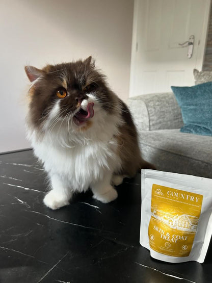 Skin & Coat Boost Chicken-Dog Treats