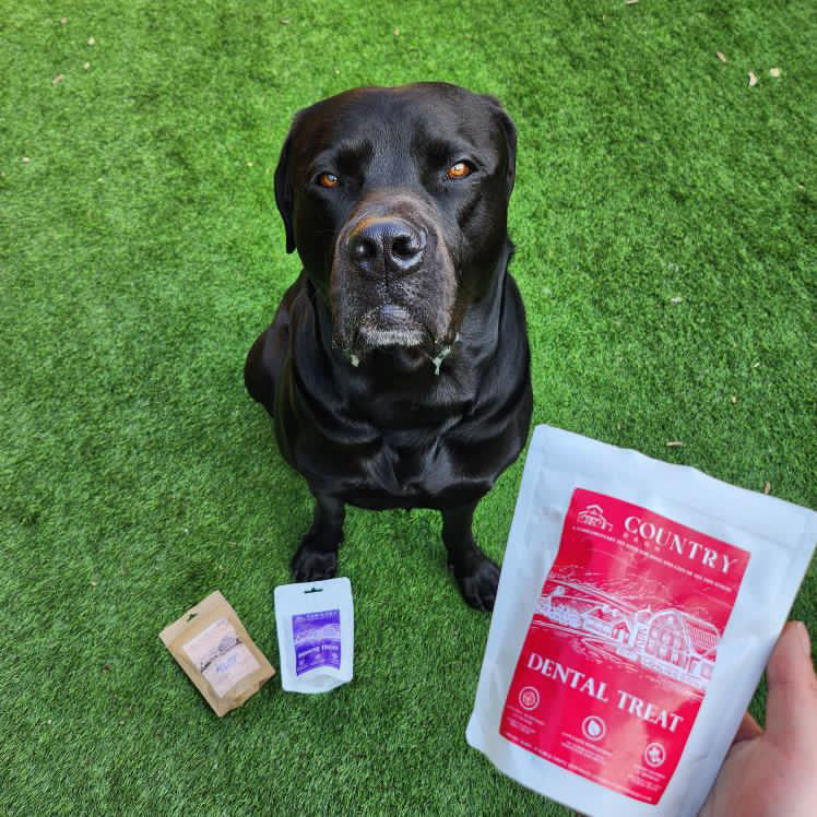 Turkey Dental Bites-Dog Treats