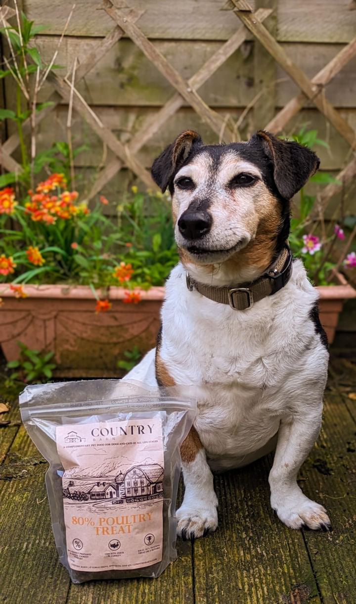 Chicken, Duck & Turkey-Dry Dog Food