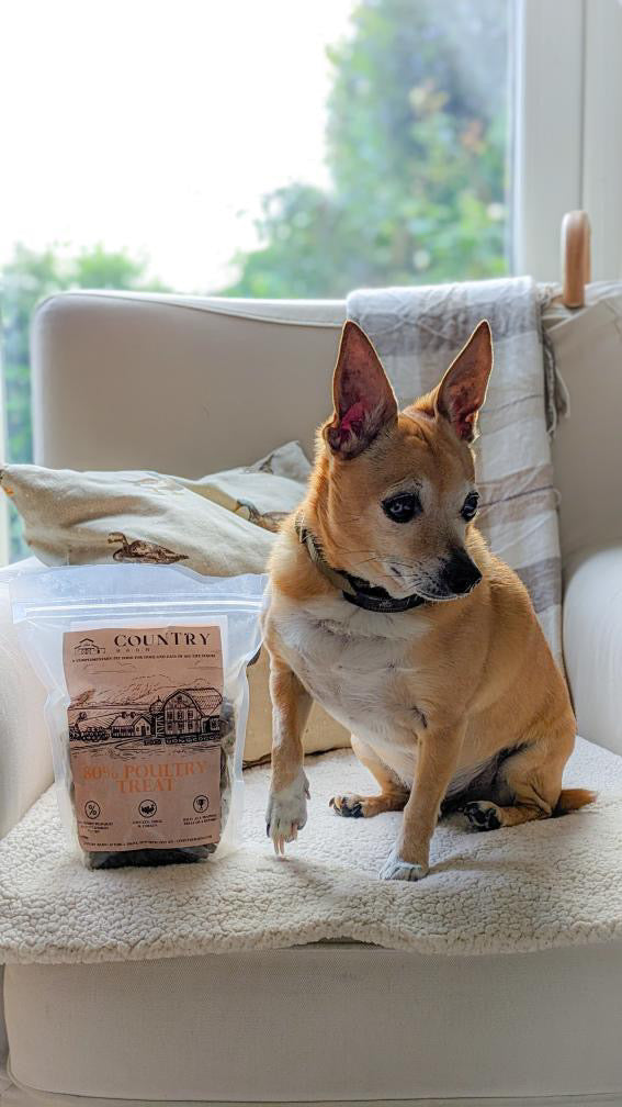 Chicken, Duck & Turkey-Dry Dog Food