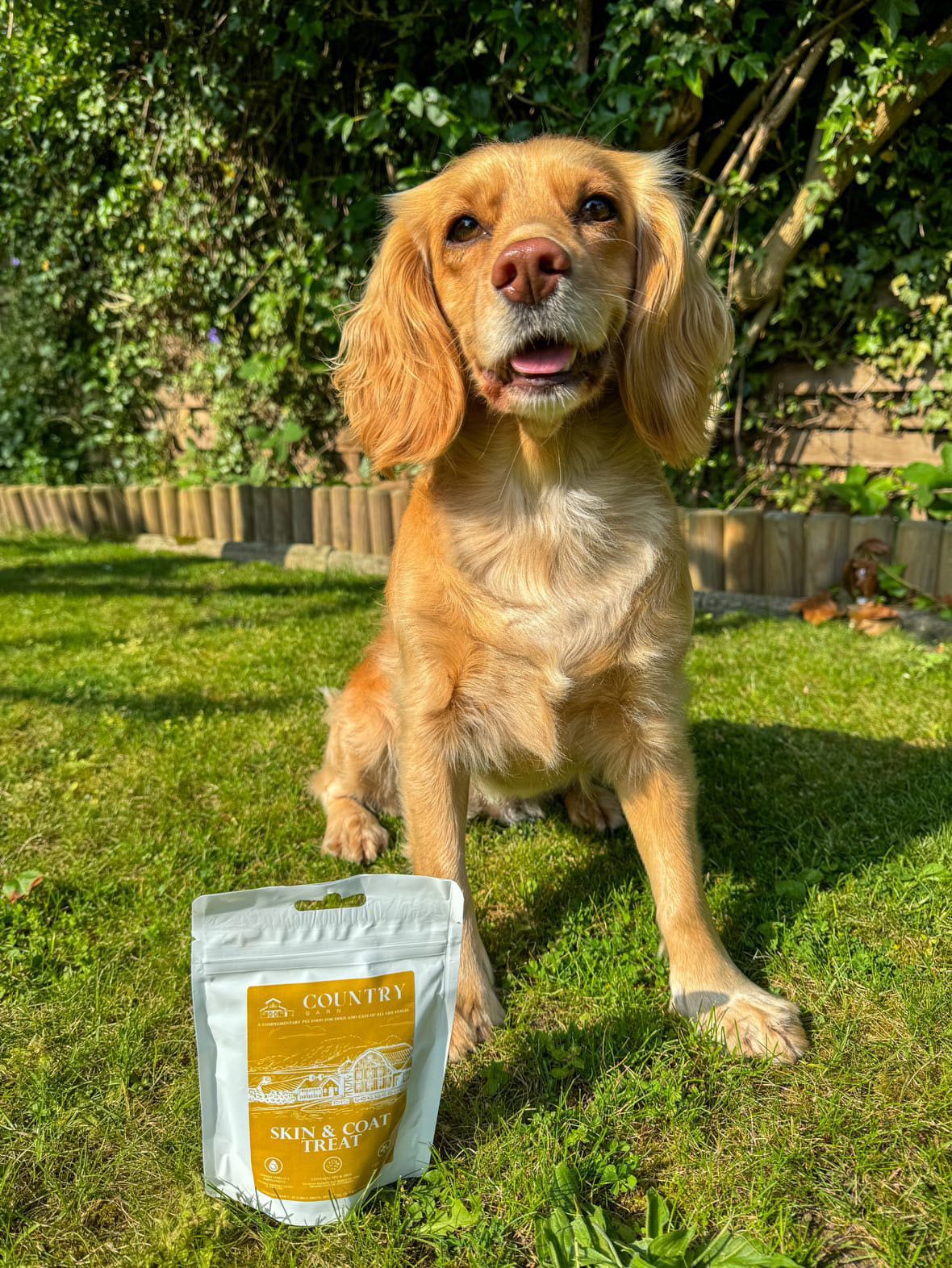 Skin & Coat Boost Chicken-Dog Treats