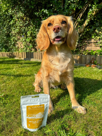 Skin & Coat Boost Chicken-Dog Treats