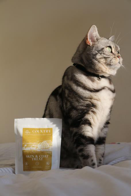 Skin & Coat Boost Chicken-Dog Treats