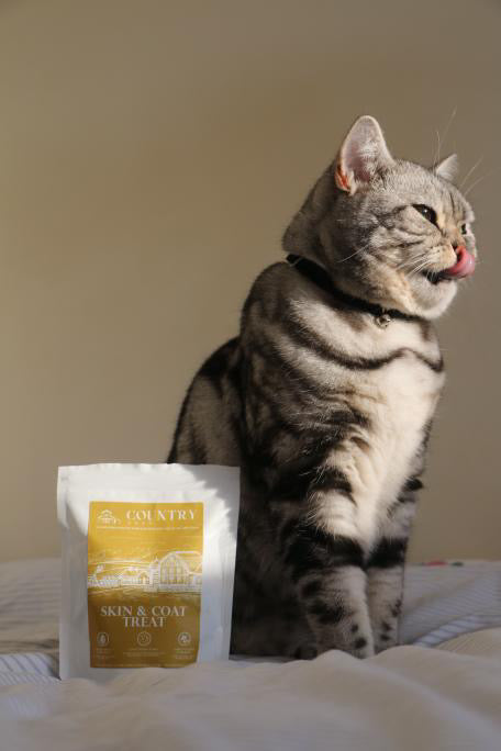 Skin & Coat Boost Chicken-Dog Treats