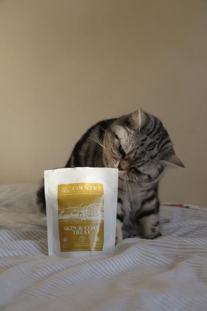 Skin & Coat Boost Chicken-Dog Treats