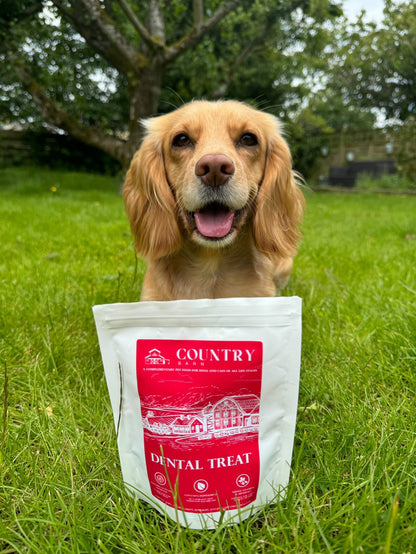 Turkey Dental Bites-Dog Treats