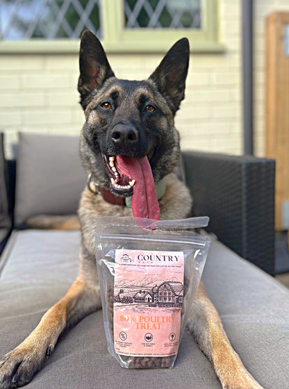 Chicken, Duck & Turkey-Dry Dog Food