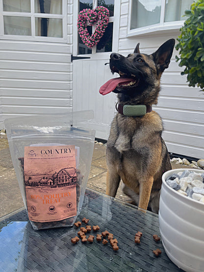 Chicken, Duck & Turkey-Dry Dog Food