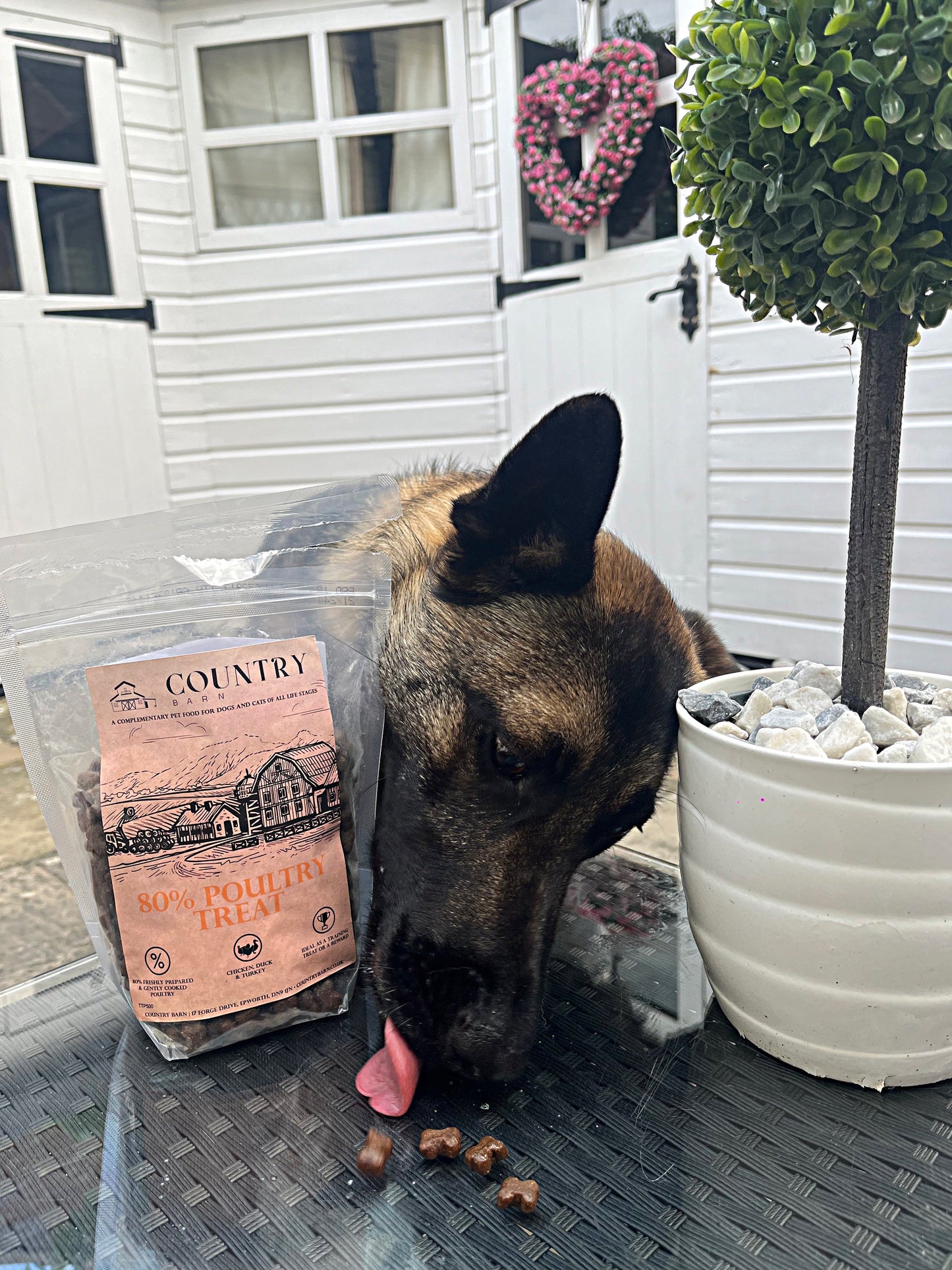 Chicken, Duck & Turkey-Dry Dog Food