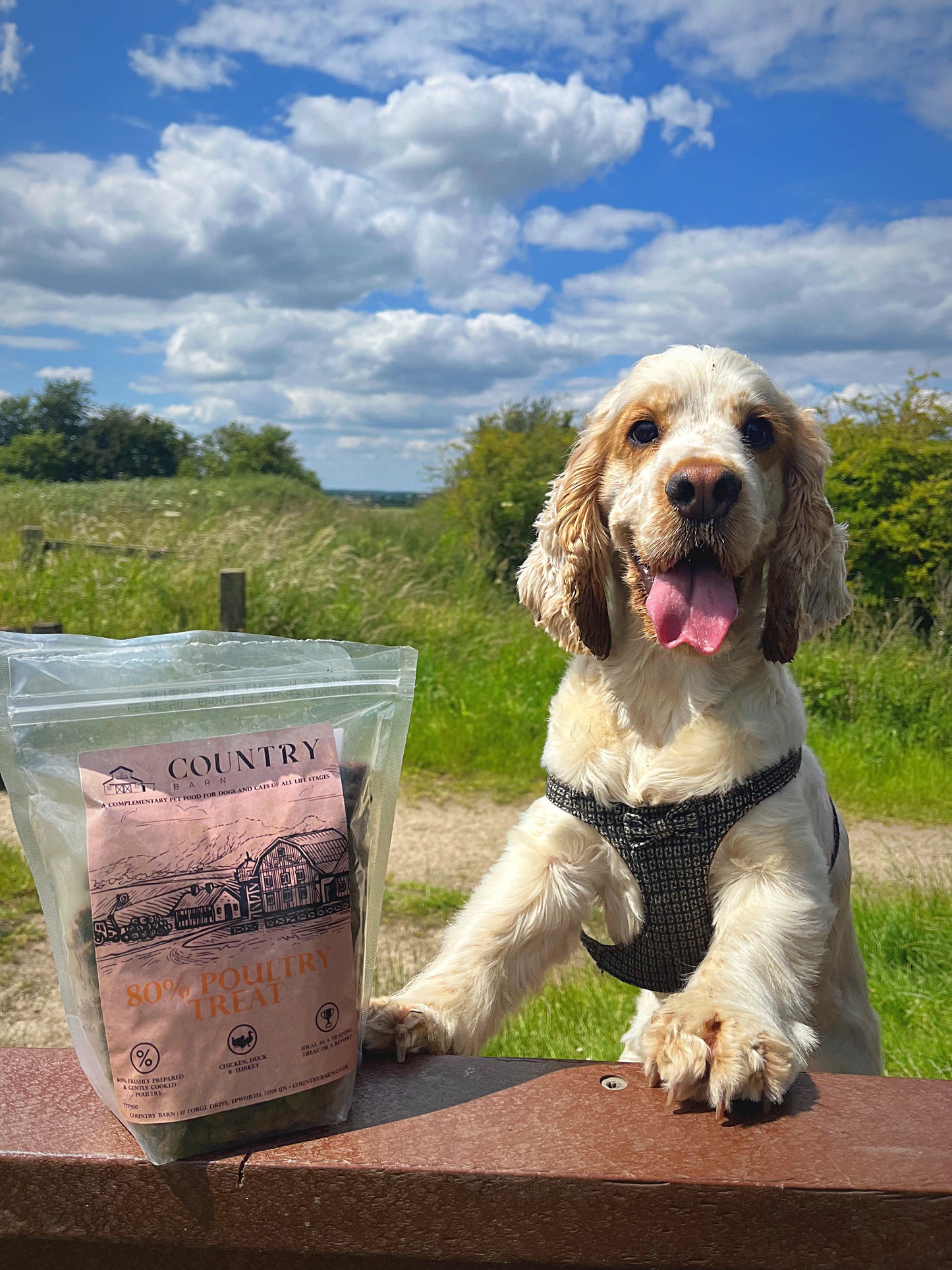 Chicken, Duck & Turkey-Dry Dog Food