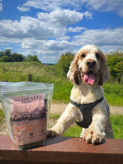 Chicken, Duck & Turkey-Dry Dog Food