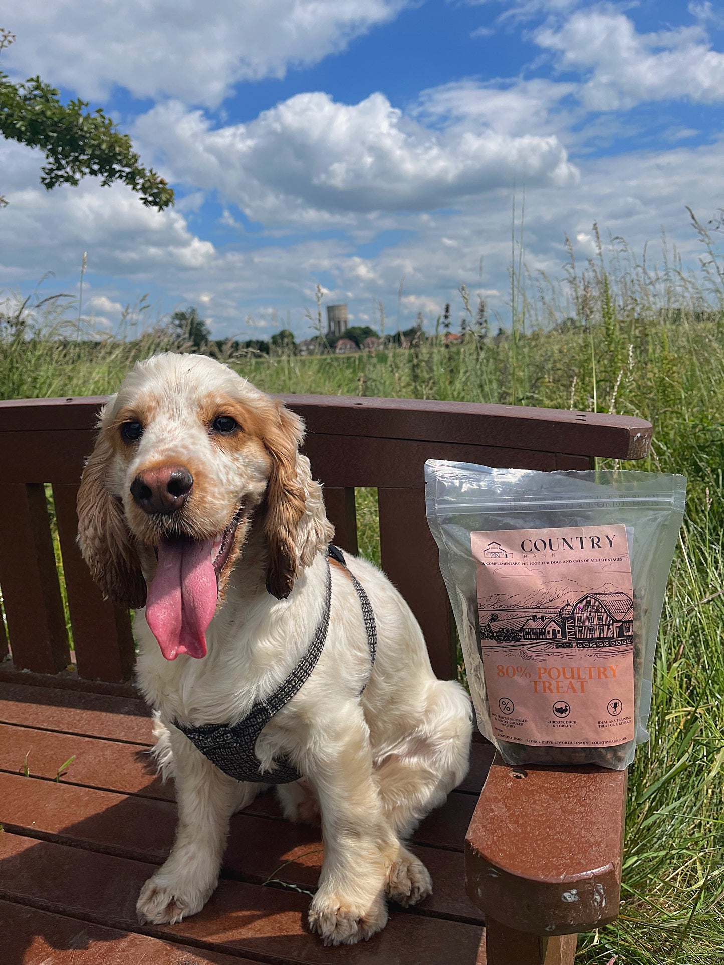 Chicken, Duck & Turkey-Dry Dog Food