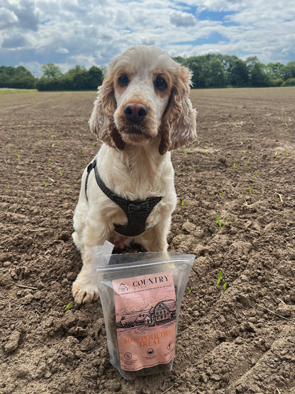 Chicken, Duck & Turkey-Dry Dog Food