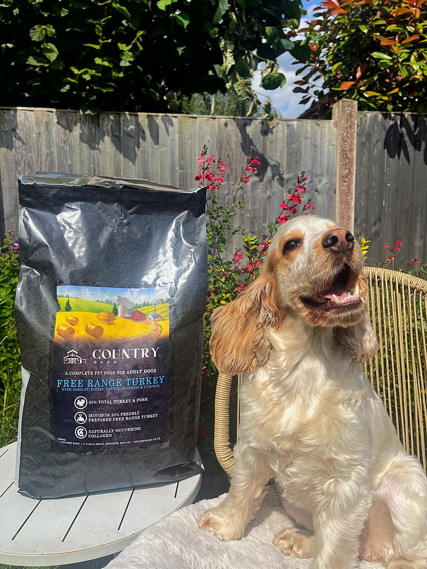 Turkey & Pork-Dry Dog Food