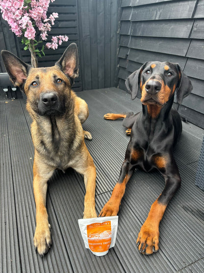 Digestive Meaty Duck-Dog Treat