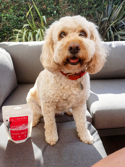 Turkey Dental Bites-Dog Treats