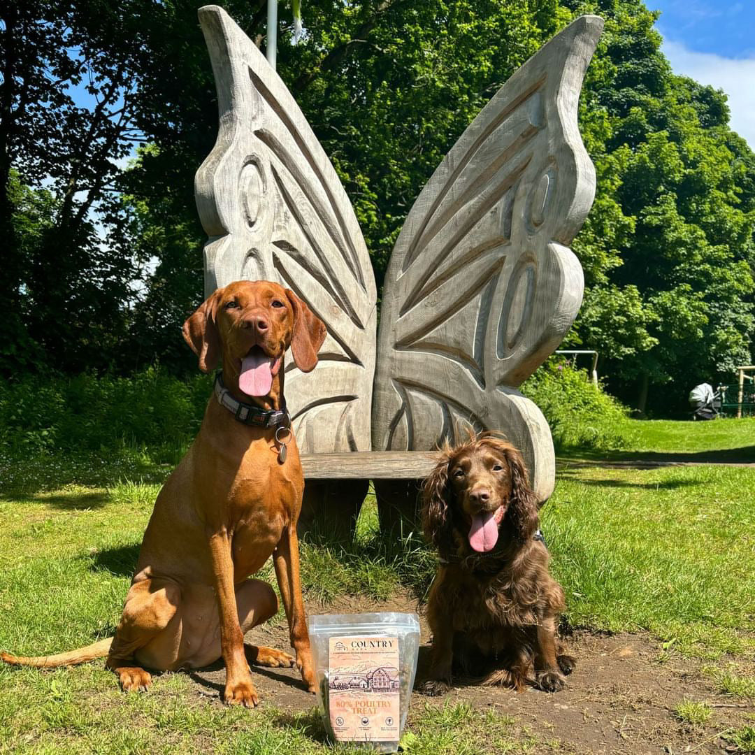 Chicken, Duck & Turkey-Dry Dog Food