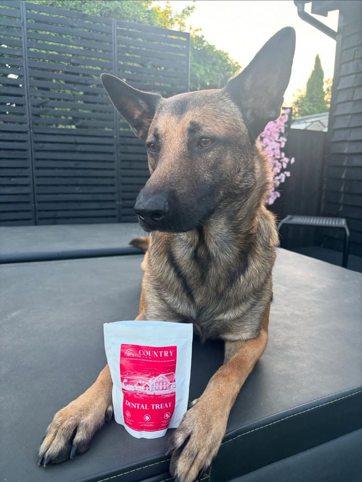 Turkey Dental Bites-Dog Treats