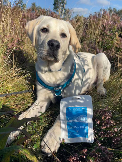 Calming - Duck & Lavender-Dog Treats