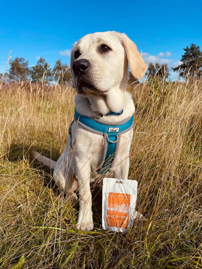 Digestive Meaty Duck-Dog Treat