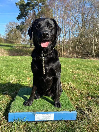 Archie Bear Place Board-2 sizes