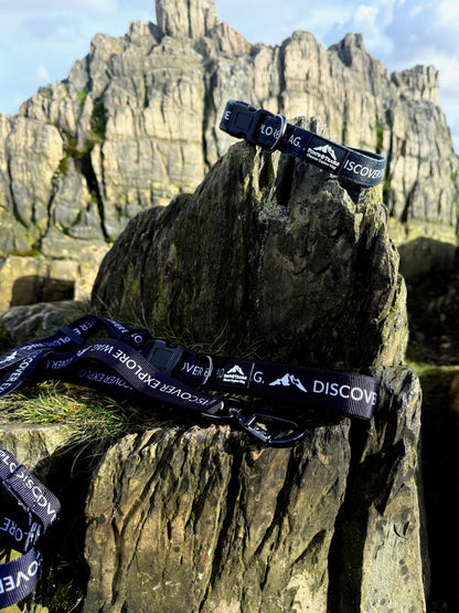 Fido's Signature Collar