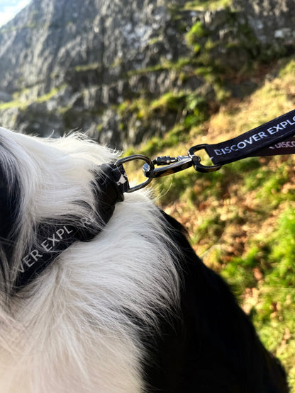 Fido's Signature Collar