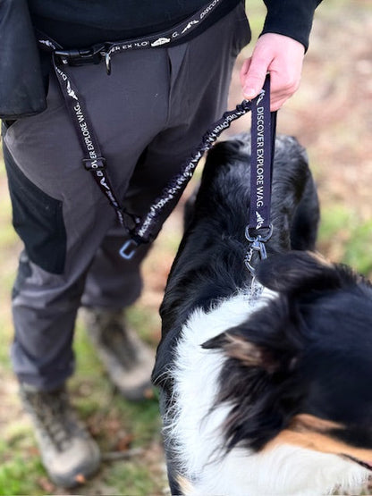 Fido's Signature Lead – Hands-Free, Shock-Absorbing Leash for Dogs | Adjustable, Weather-Resistant