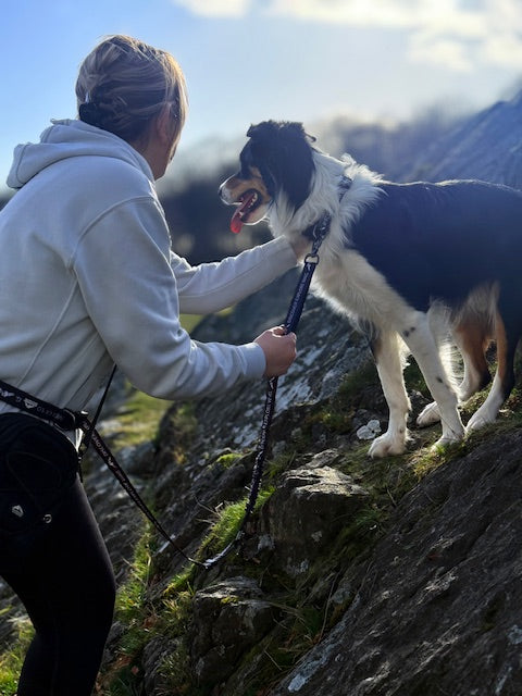 Fido's Signature Lead – Hands-Free, Shock-Absorbing Leash for Dogs | Adjustable, Weather-Resistant