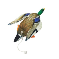 Mallard Dead Bird Dummy