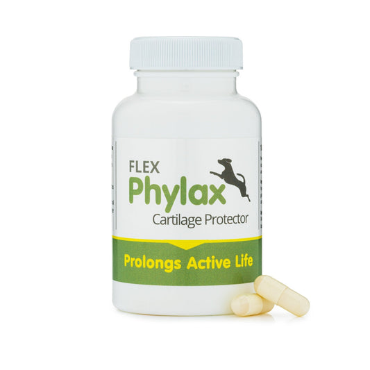 Phylax cartilage protector - 100 capsules - 3 months supply!