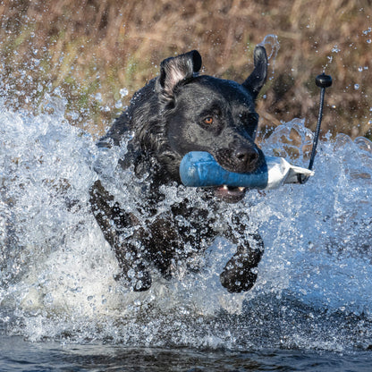 Flinger Mid Sized Marking Dummy By Laura Hill.