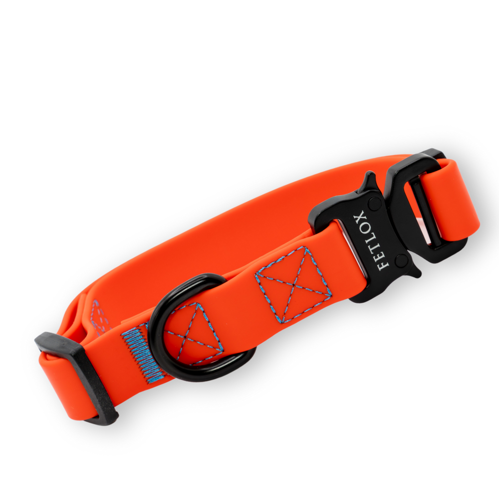 Rufus Dog Collar - Orange