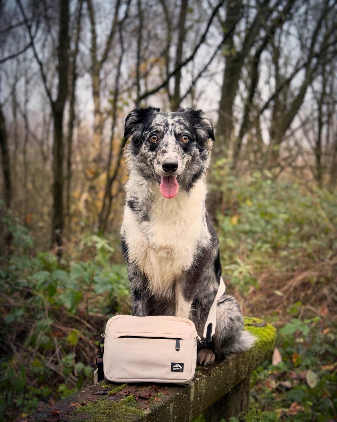 Dog Walking Bag with Mini Treat Pouch - Stone | Fido's Trails