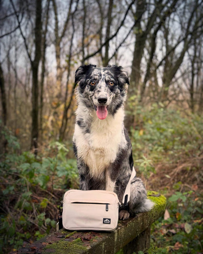 Dog Walking Bag with Mini Treat Pouch - Stone | Fido's Trails
