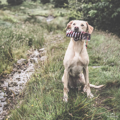 Partridge 1/2lb Dummy