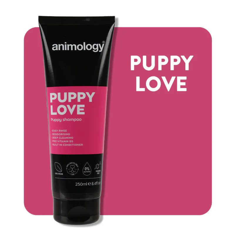 Animology Puppy Love Shampoo | 250ml