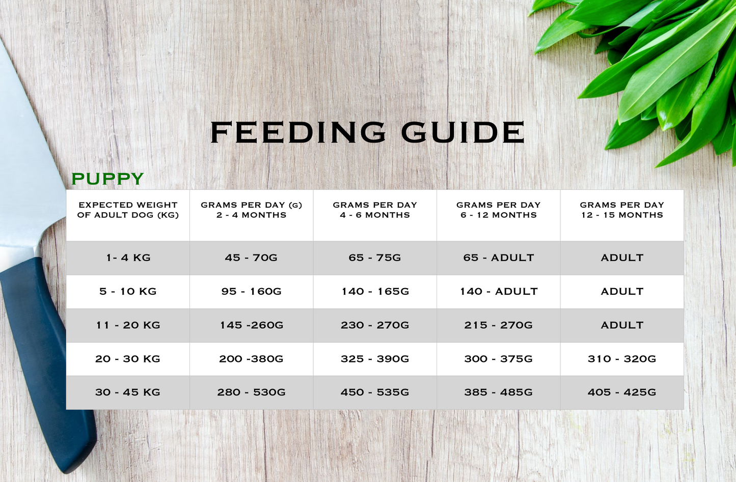 Puppy - Scottish Salmon-Dry Dog Food