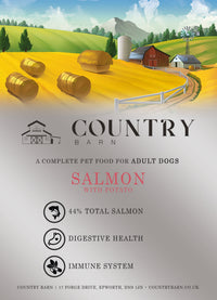 Salmon & Potato - Premium-Dry Dog Food