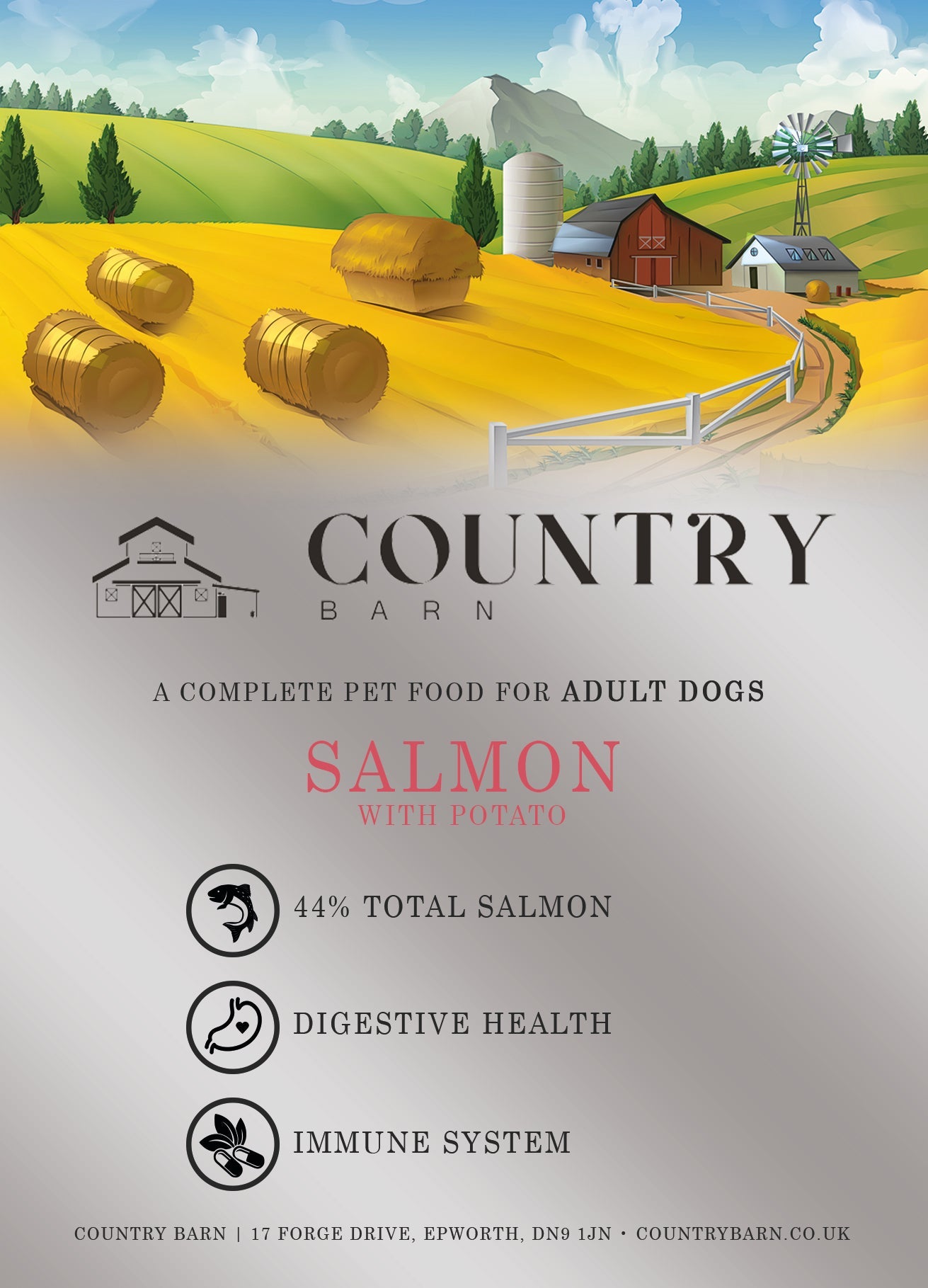 Salmon & Potato - Premium-Dry Dog Food