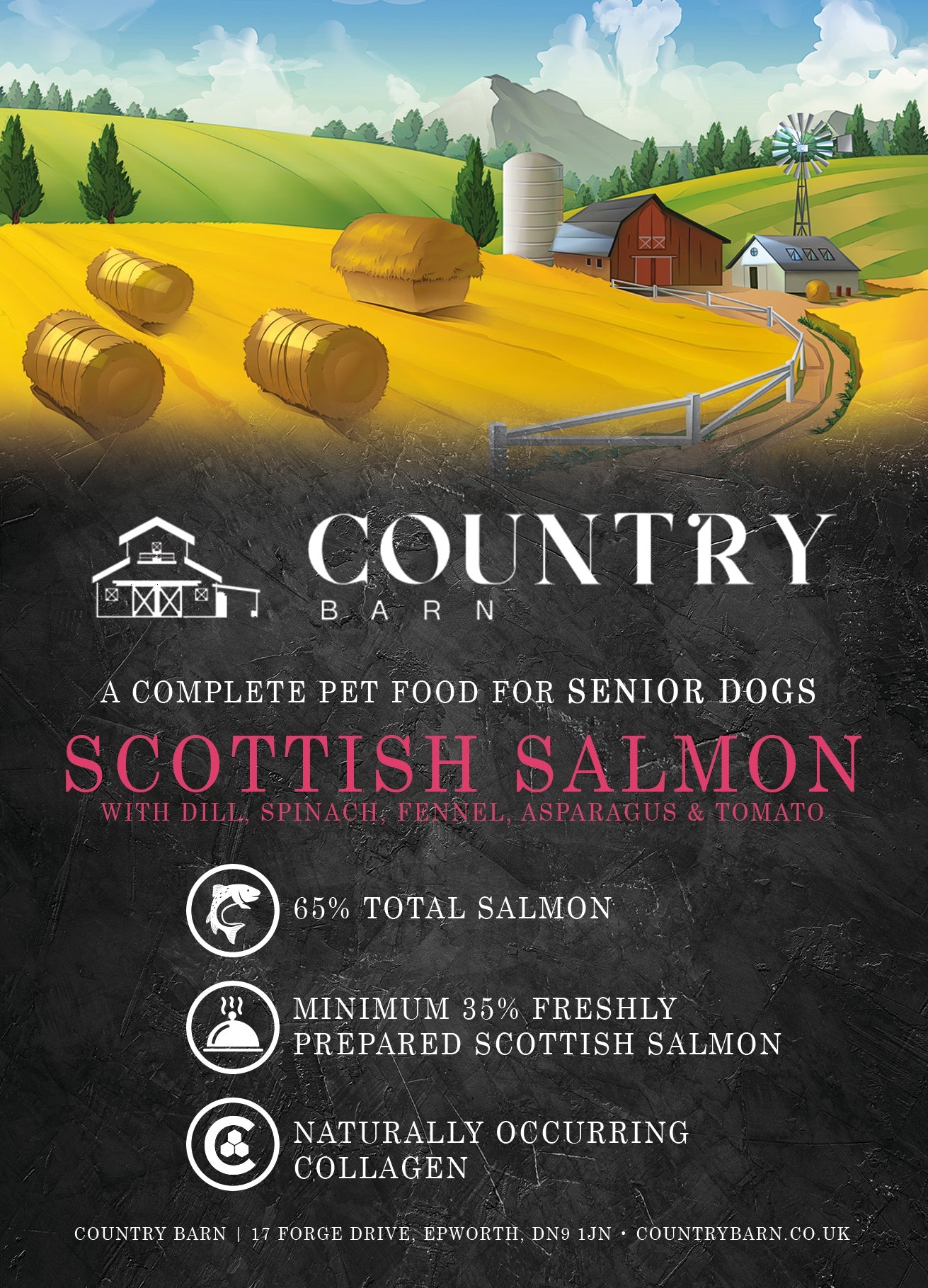 Senior - Scottish Salmon-Dry Dog Food