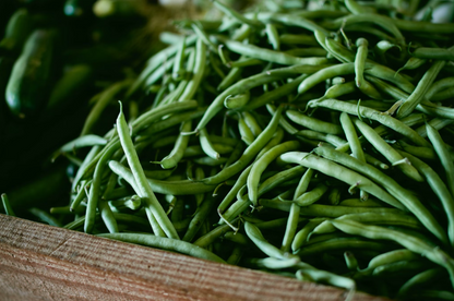 Angus Beef-Dry Dog Food