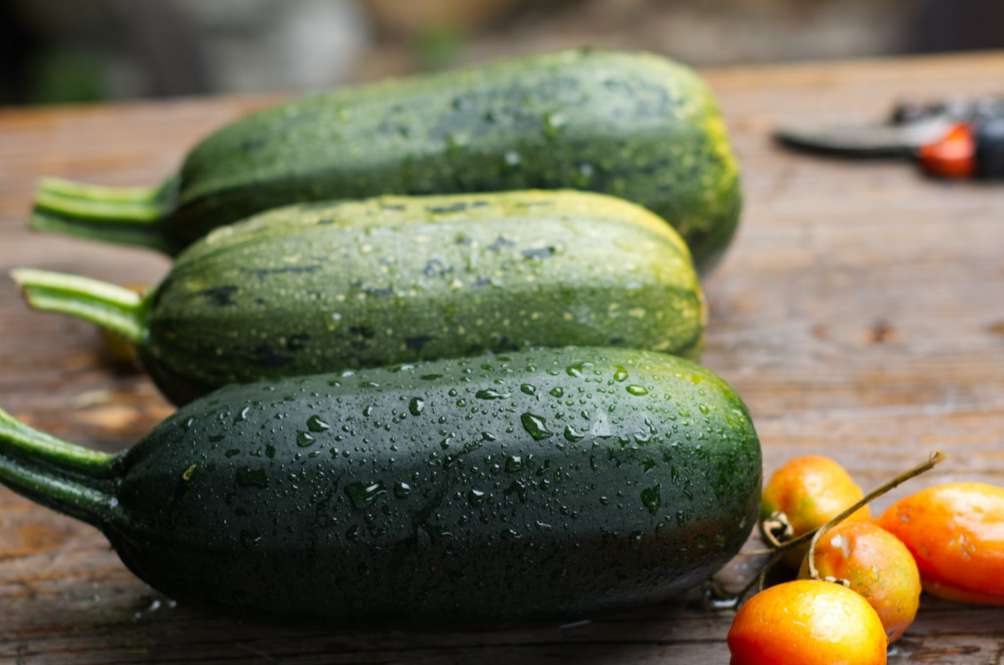 Angus Beef-Dry Dog Food