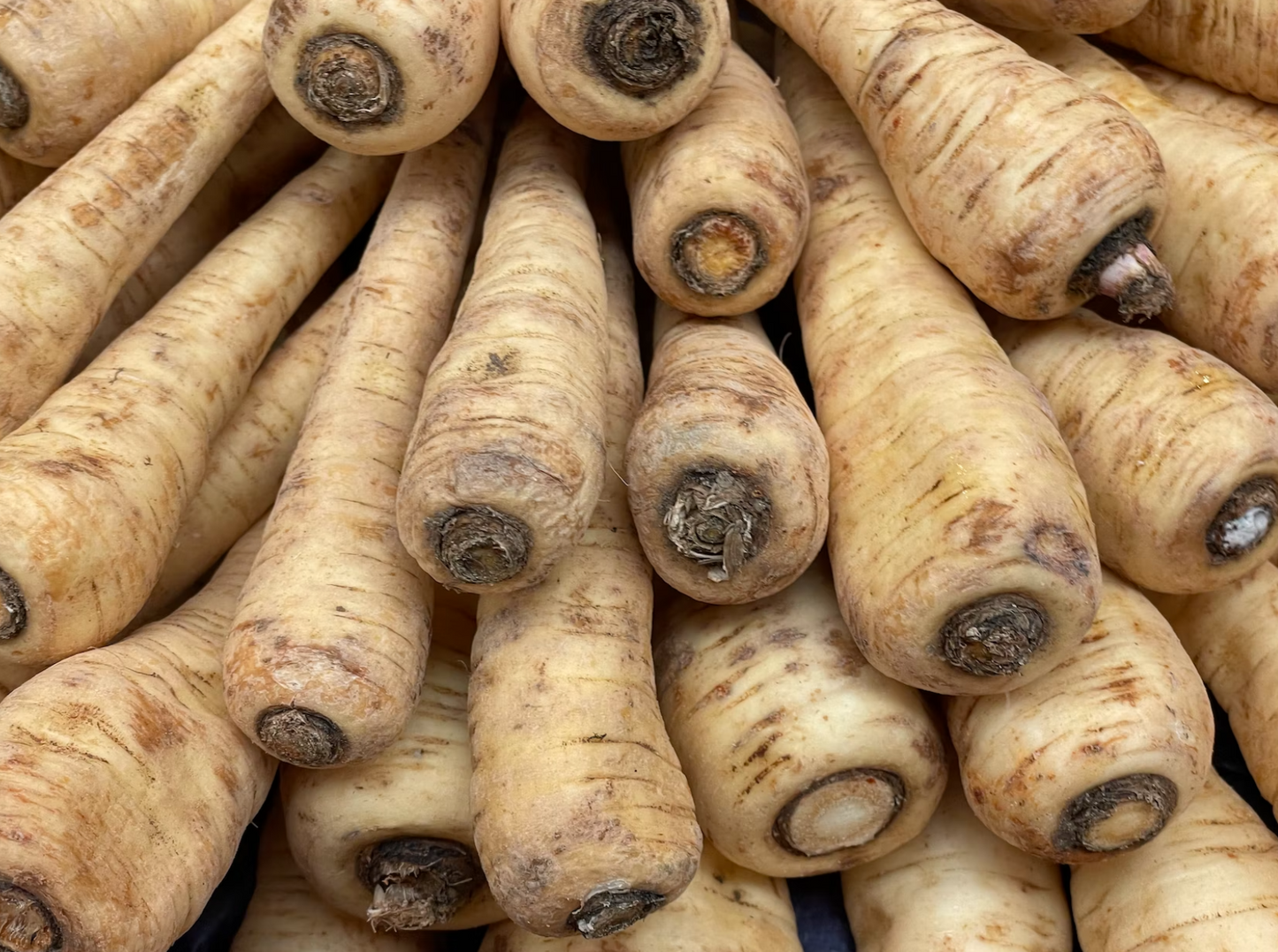 Country English Duck-Dry Dog Food