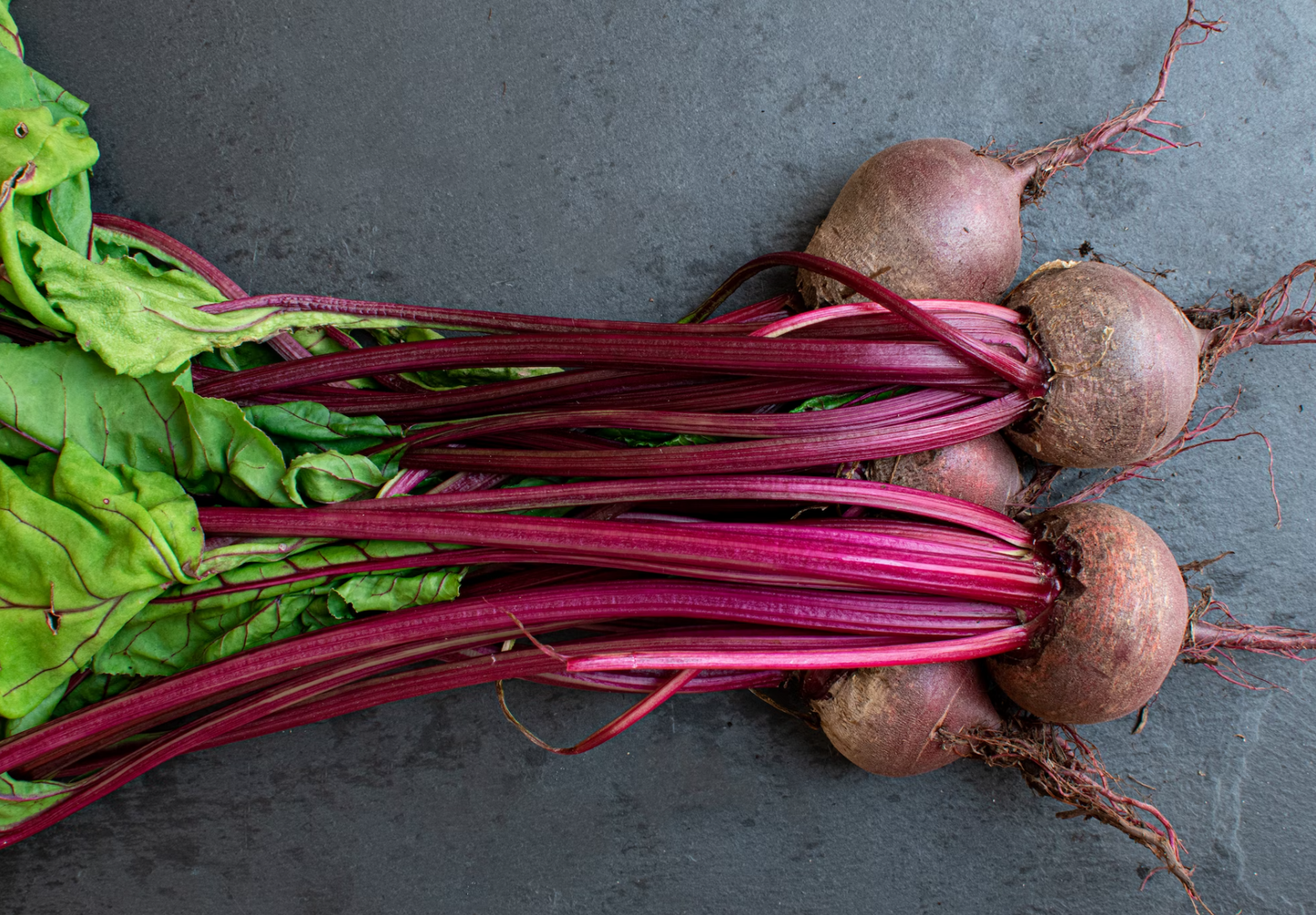 Country English Duck-Dry Dog Food